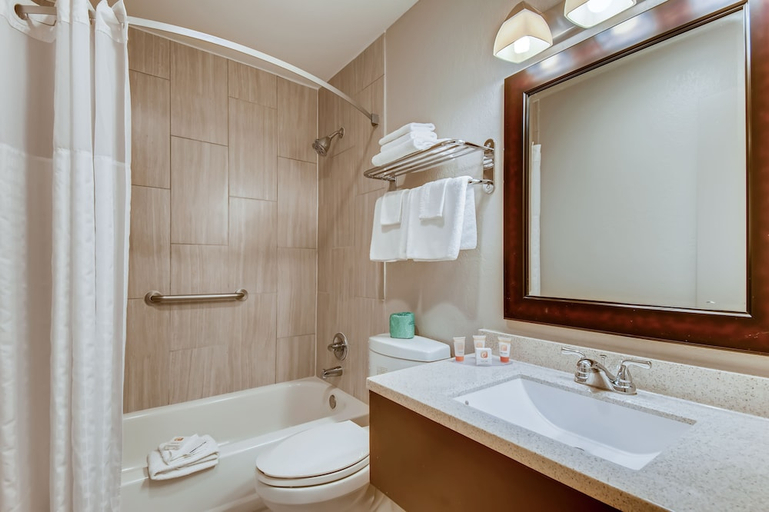 Bathroom 4, ORANGEWOOD INN AND SUITES MIDTOWN, Travis