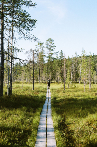 Hiking, Pikku-Syöte Hotel & Ski Resort, Northern Ostrobothnia