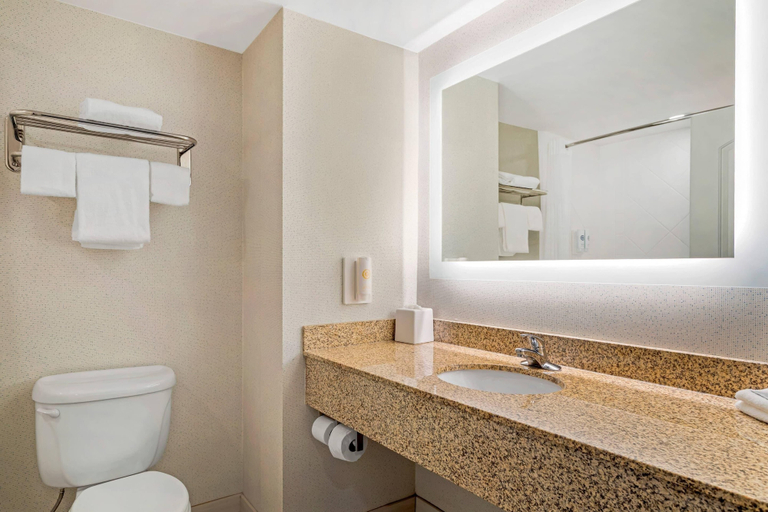 Bathroom 4, Comfort Inn Dayton South, Rhea