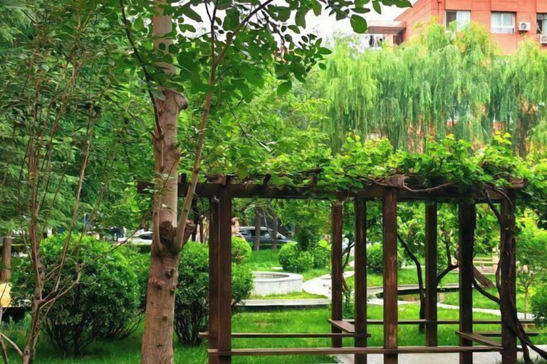 Others 5, Shanxi Hotel, Beijing