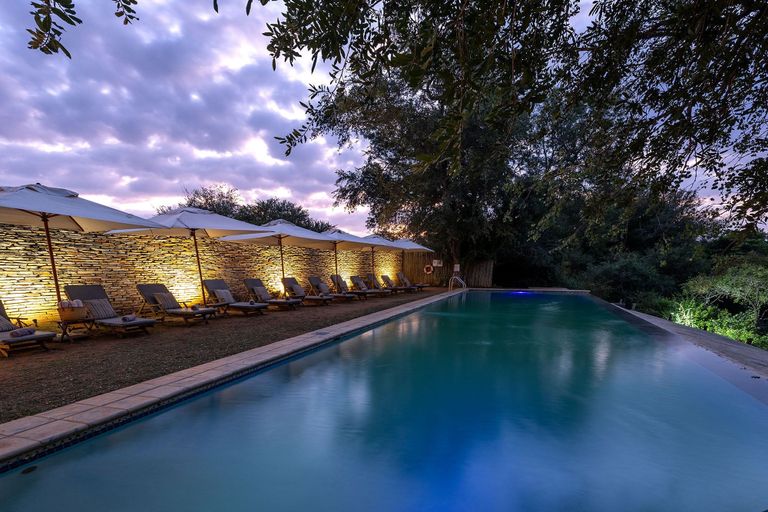 Sport & Beauty 3, Karongwe - Becks Safari Lodge, Mopani
