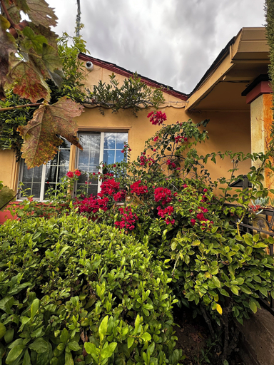 Exterior & Views 2, Chardonnay Lodge, Napa