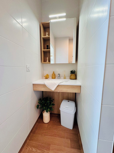 Bathroom 5, REFLETS DE SEINE, Yvelines
