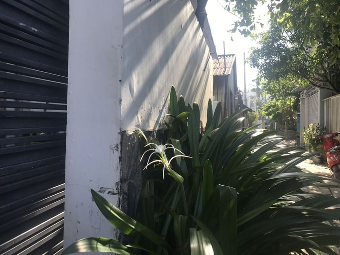 Exterior & Views, Dao Ngoc VT1, Phú Quốc