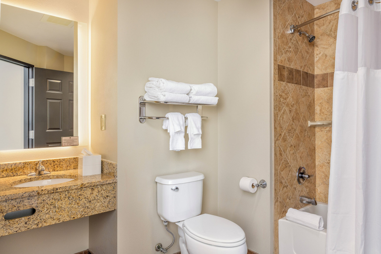 Bathroom 4, Camelback Resort, Monroe