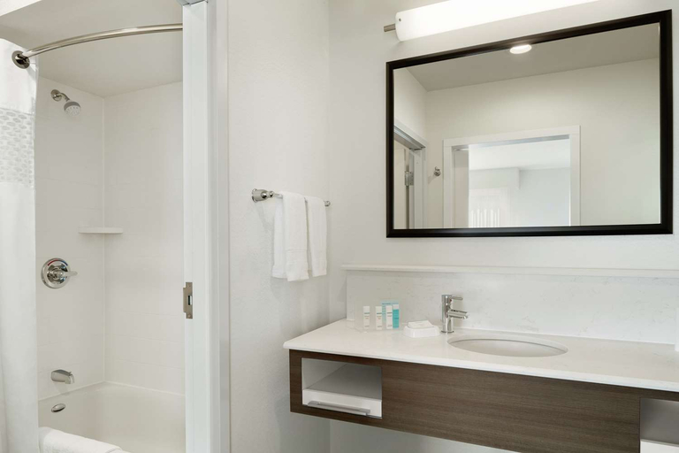Bathroom 4, Hampton Inn & Suites St. Louis/Alton, Madison