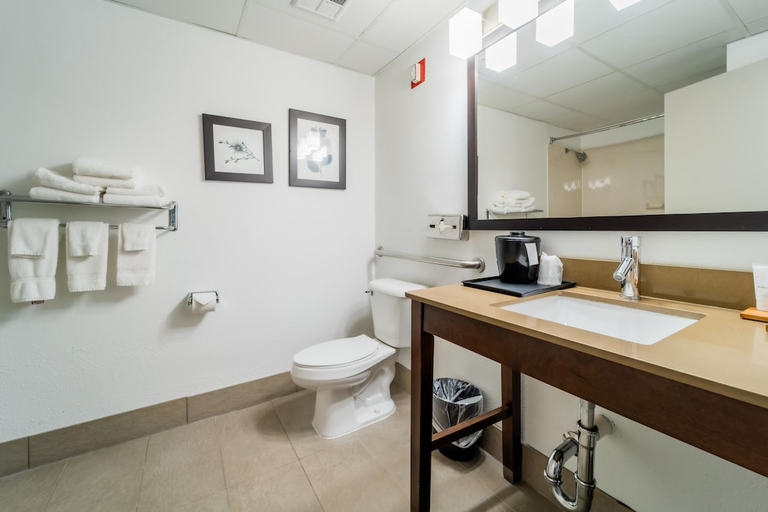 Bathroom 4, Country Inn&Suites Radisson Richmond I-95 South Va, Chesterfield