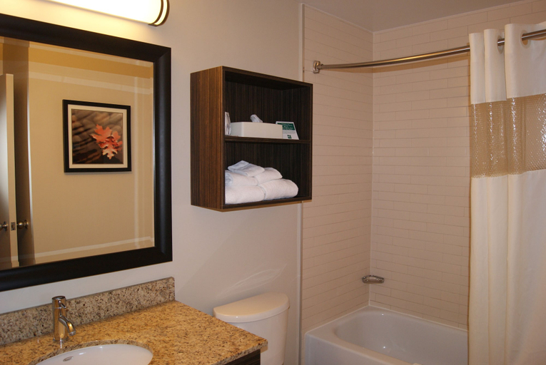 Bathroom 4, Quality Inn & Suites P.E. Trudeau Airport, Montréal