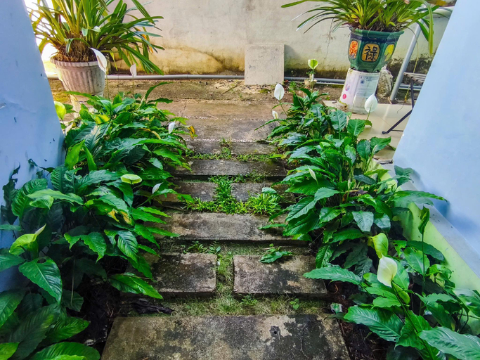 Public Area 2, Thao Nguyen Xanh, Buon Ma Thuot