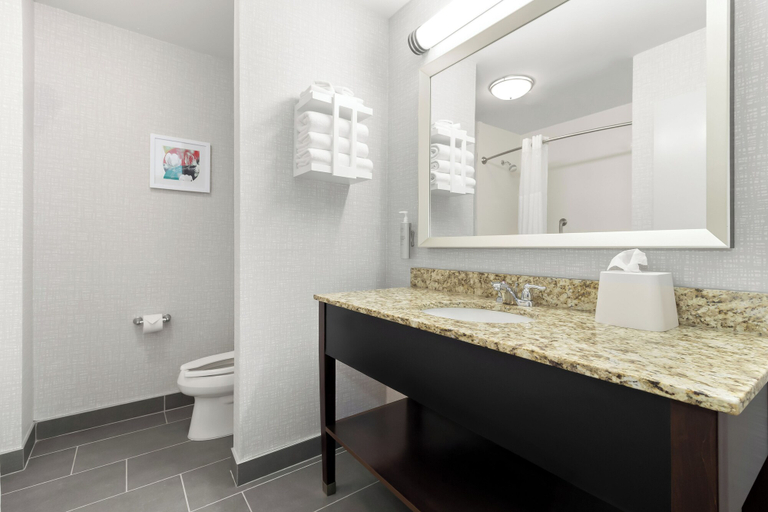 Bathroom 4, Hampton Inn & Suites Hartsville, Darlington