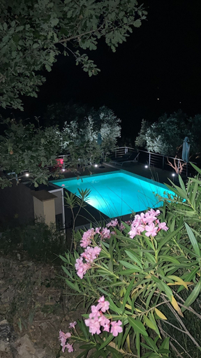 Outdoor pool 3, Villa Oriel Naturiste, Var