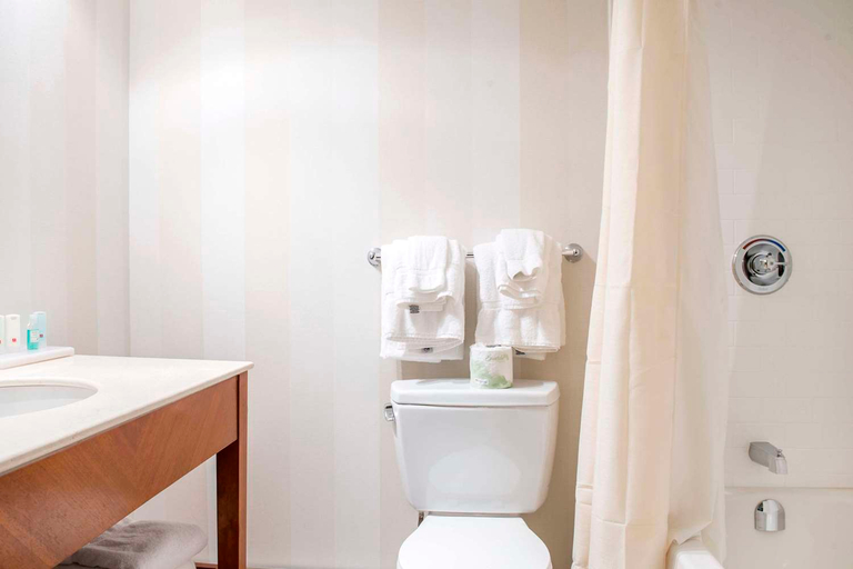 Bathroom 4, Quality Inn & Conference Centre, Renfrew