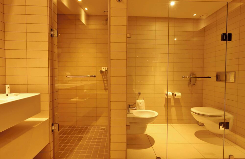 Bathroom 5, Labadi Beach Hotel, Accra