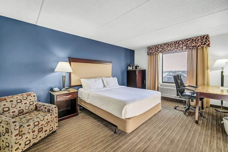 Others 2, Radisson Hotel Schaumburg, Cook