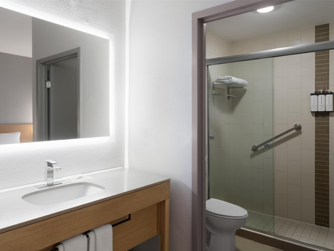 Bathroom 5, Hyatt Place Atlanta/Alpharetta/North Point Mall, Fulton