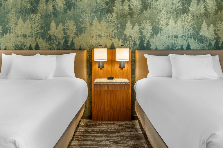 Room 5, Drury Plaza Hotel Pigeon Forge, Sevier