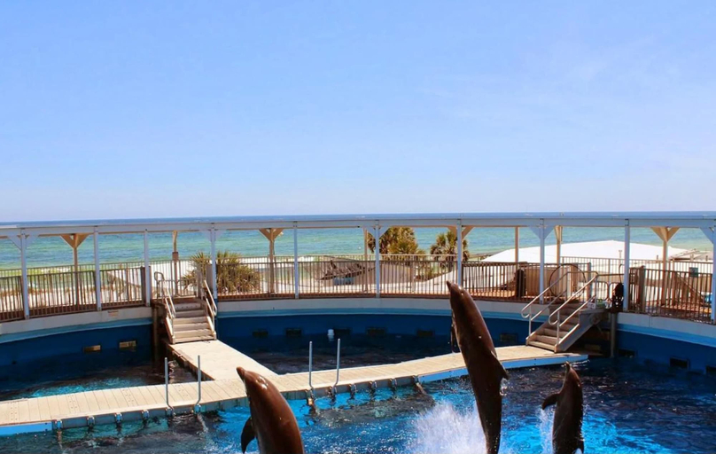 Sport & Beauty 2, Island Princess 315, Okaloosa