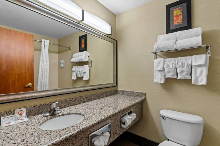 Bathroom 4, Comfort Suites Denver Tech Center, Arapahoe