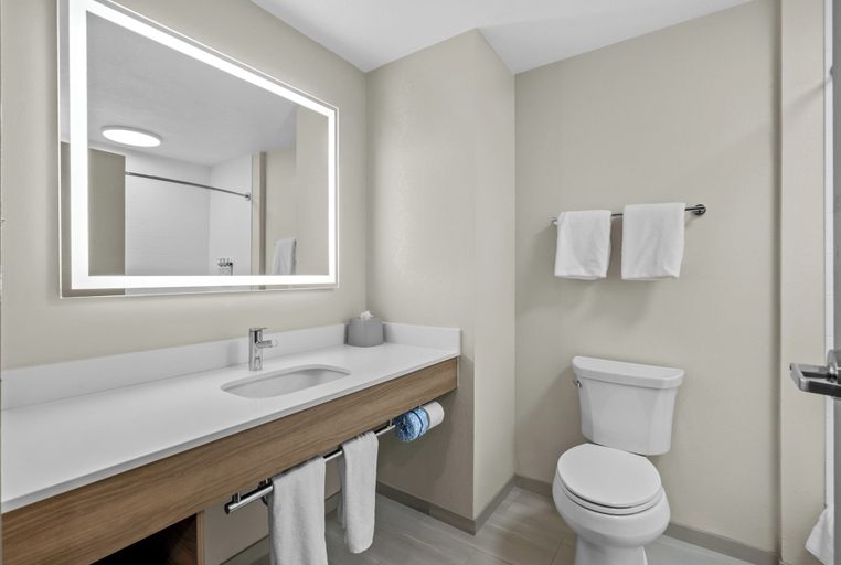 Bathroom 5, Holiday Inn Express & Suites OGDEN, Weber