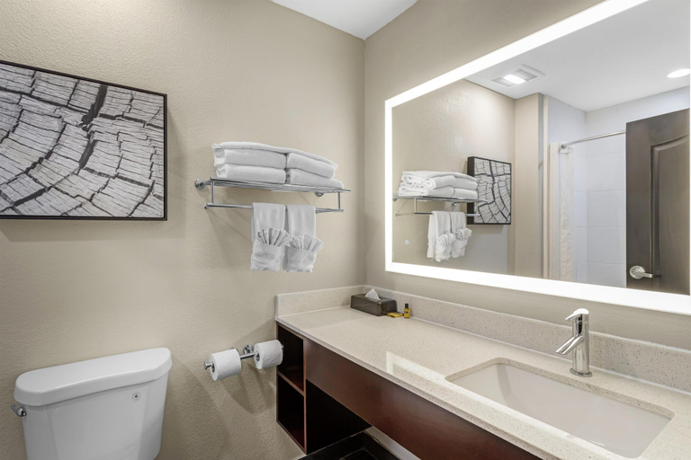 Bathroom 5, Best Western Plus Bay City Inn & Suites, Matagorda