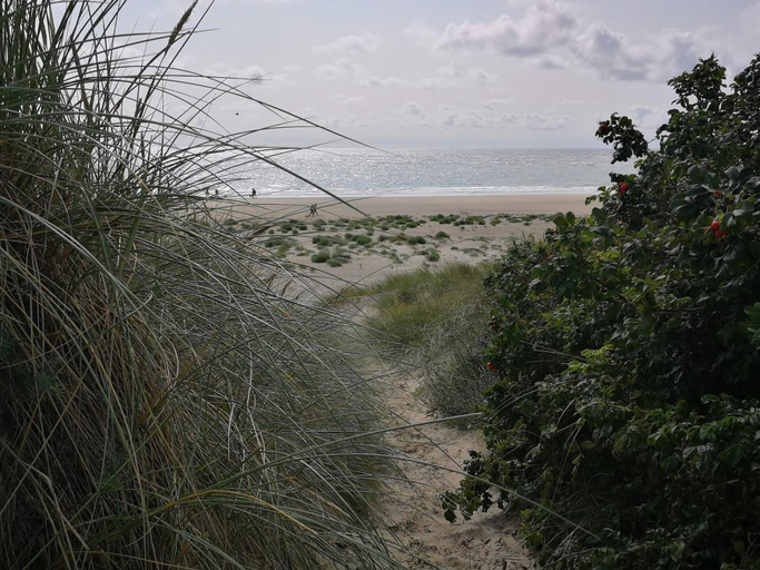 Others 4, 8 Person Holiday Home in Blavand, Varde