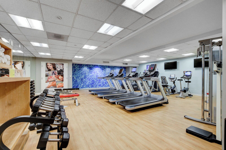 Fitness facility 2, The Lapis Suite at The Platinum Hotel, Clark