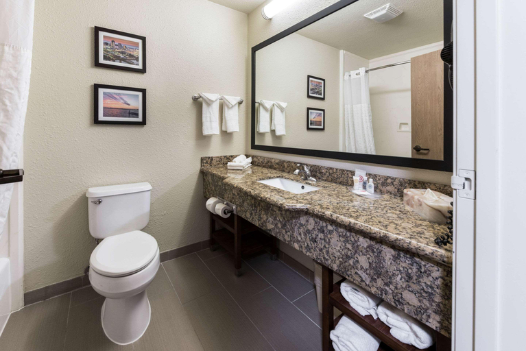 Bathroom 4, Comfort Suites Monroe, Ouachita