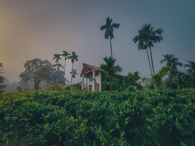 Primary image, Rain Forest Vibe Sinharaja, Kotapola