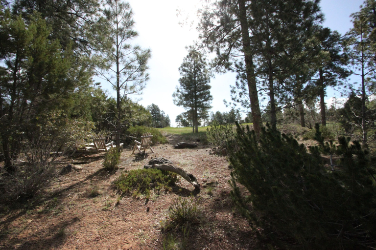 Property grounds 2, At Whispering Pines 4 Bedroom Home by RedAwning, Navajo