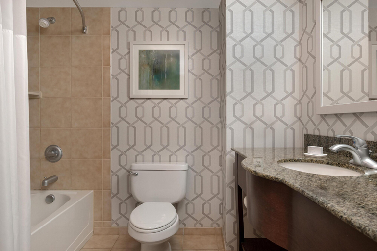 Bathroom 4, Hampton Inn & Suites Wilkes-Barre/Scranton, Luzerne