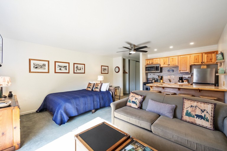 Room 3, 223 Bldg B Condo, Nevada