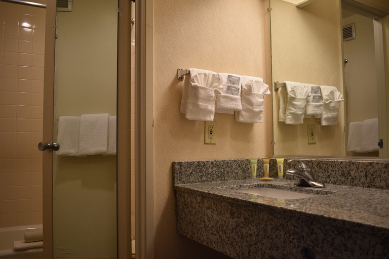 Bathroom 3, Inn At The Convention Center, Multnomah