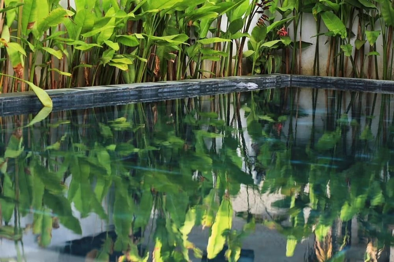 Sport & Beauty 5, The Bau Bi Retreat, Da Nang