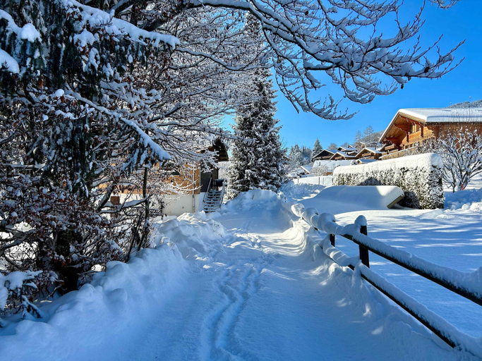 Room 3, Le Petite Chalet in Rougemont, Pays-d'Enhaut