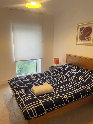 Room 3, 1 Bed Apartment- Sleeps 2 Parking Pets Allowed, Birmingham