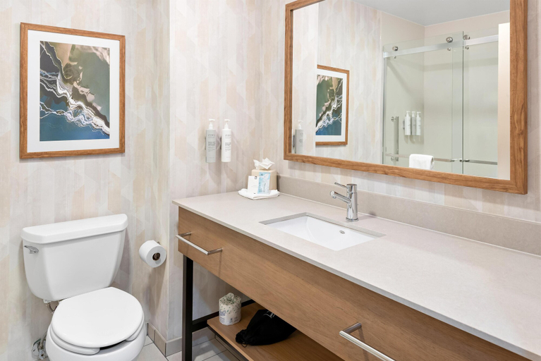 Bathroom 3, Hampton Inn by Hilton Gainesville-Haymarket, Prince William
