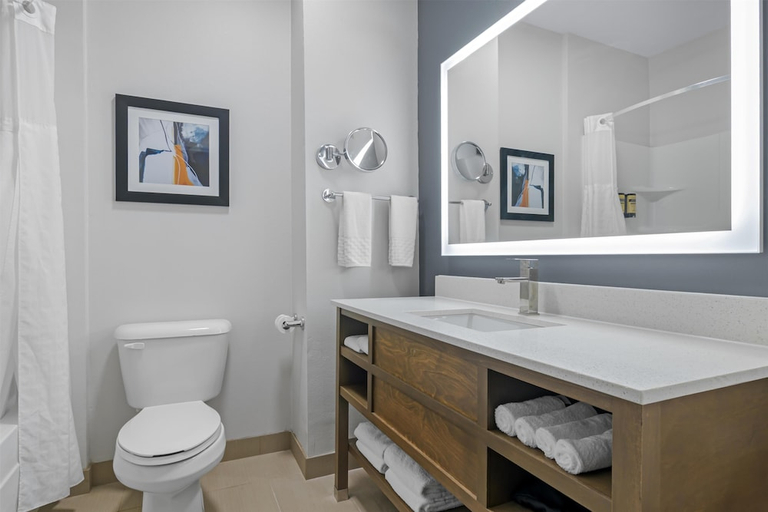 Bathroom 4, Best Western Plus Washington Hotel, Franklin