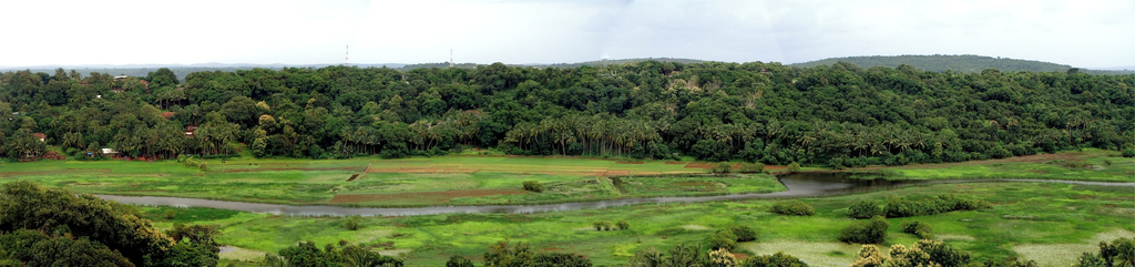 Garden, Ganesh Agro Tourism, Ratnagiri