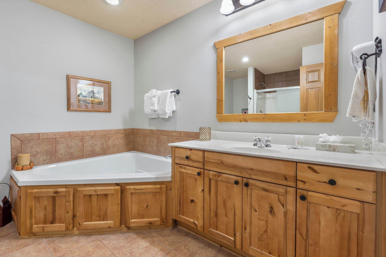 Bathroom 3, Grey Moose Lodge w/ Amenities Access!, Stone