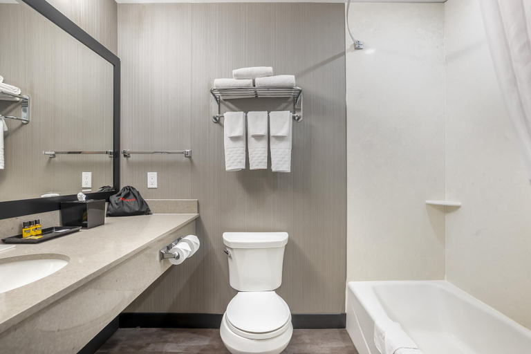 Bathroom 4, Best Western Plus East Side, Division No. 11