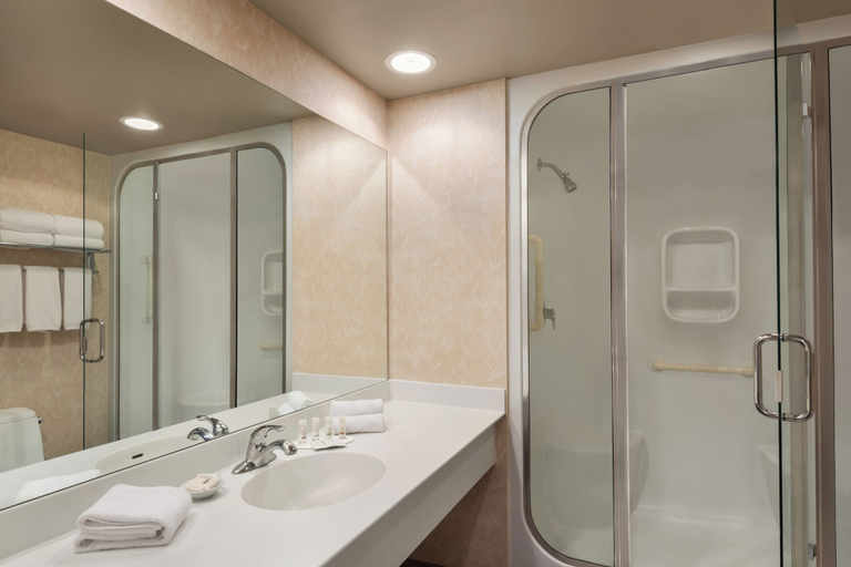 Bathroom 4, Royal Hotel Edmonton Airport, Trademark Collection by Wyndham, Division No. 11