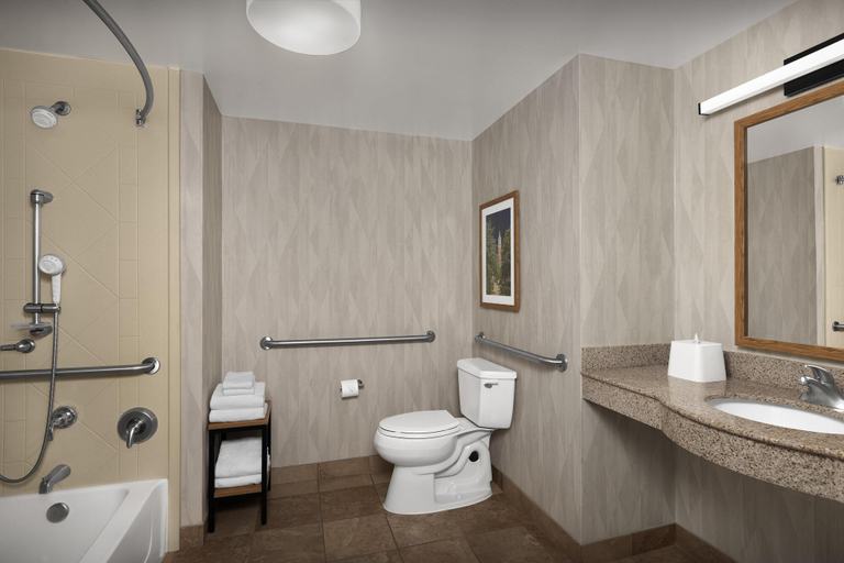 Bathroom 4, Hampton Inn & Suites Huntersville, Mecklenburg