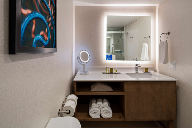 Bathroom 5, Doubletree by Hilton East Madison East, Dane