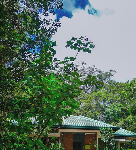Front of property 2, Planters Bungalow Bandarawela, Bandarawela