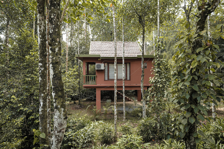 Exterior 5, Kings Flora Luxury Organic FarmResort, Wayanad