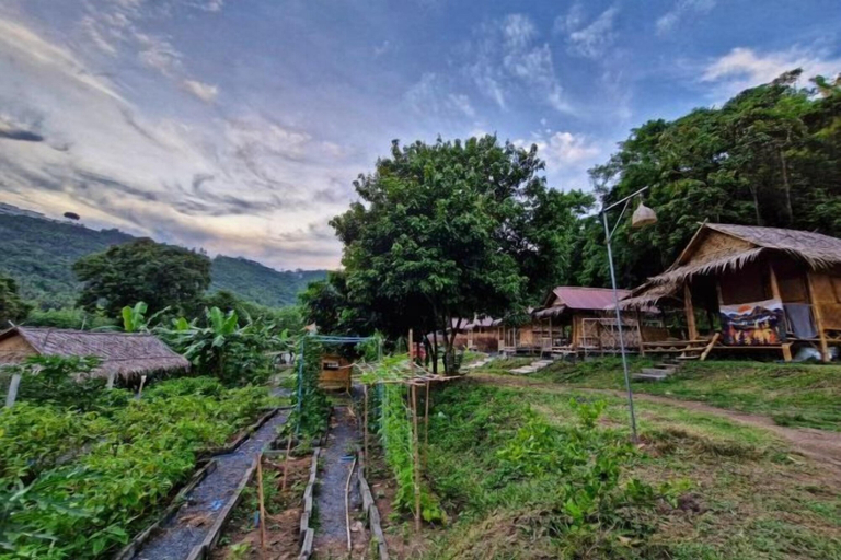 Others 5, Samui Camping Farm, Ko Samui