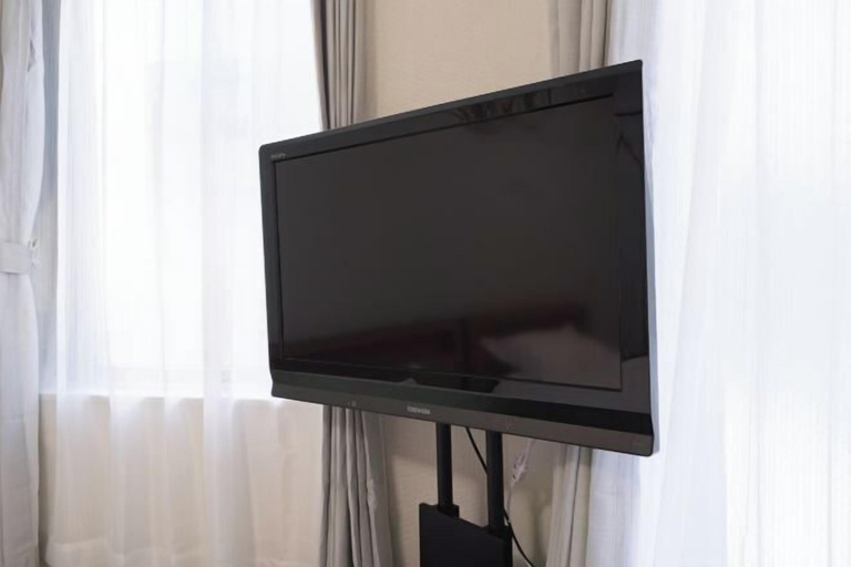 Television, Tsubaki　202, Sumida
