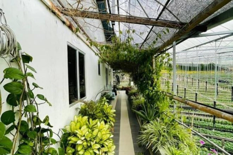 Others 5, Cameron Farm House, Cameron Highlands