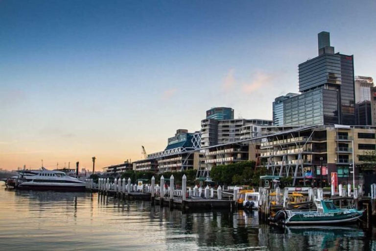 Exterior & Views 2, A Stylish Apt, City Views Next To Darling Harbour, Sydney