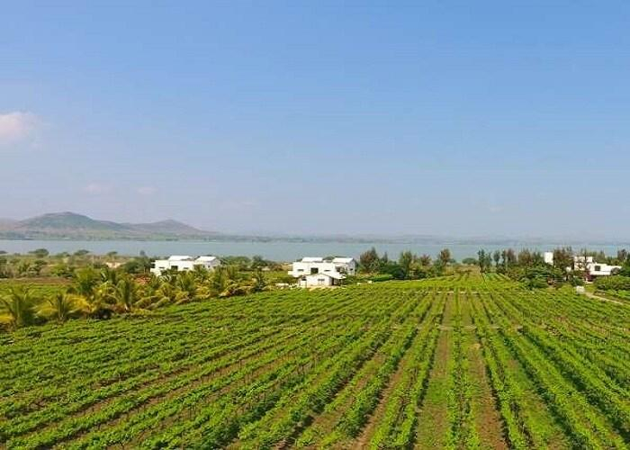 Others 5, Soma Vineyard Resort, Nashik